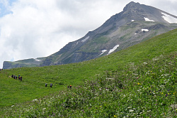 В походе по маршруту 30 через горы к морю легендарная Тридцатка