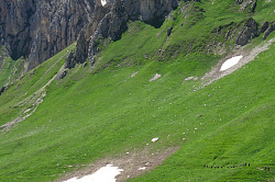 Альпийские луга, маршрут 30 через горы Лагонаки к морю тур поход