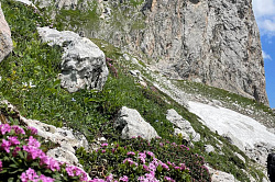 Природа гор, маршрут 30 через горы к морю