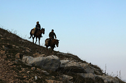 Конные активные туры