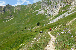 Горная тропа, маршрут 30 через горы к морю пеший тур поход