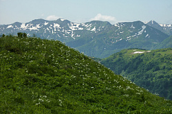 Горный склон с цветами, маршрут 30 через горы к морю тур поход