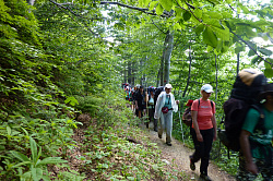 Поход по лесу, лесной участок маршрута 30 тур поход через горы к морю