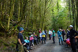 Этот снимок мы назвали лесная романтика. Туристы маршрута Знаменитая Тридцатка - легендарный маршрут 30 в субропическом лесу на седьмой день программы.