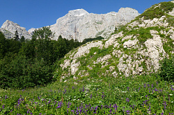 Пейзаж с горами и цветами, маршрут 30 через горы к морю тур поход
