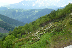 Пейзаж в горах весной
