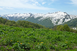 Ранняя весна в горах Адыгеи