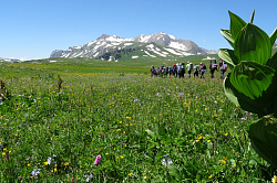 В горах Кавказа, маршрут 30 через горы к морю пеший тур поход