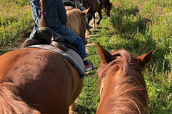 Тур на лошадях