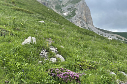 Пейзаж с тура Легендарная Тридцатка маршрут 30 через горы к морю