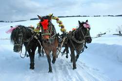 конно-санные туры на Урале